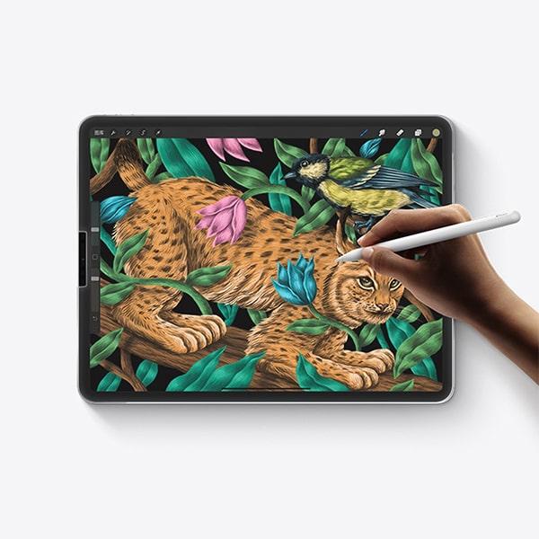 Miếng Dán Màn Hình iPad Pro 12.9 inch