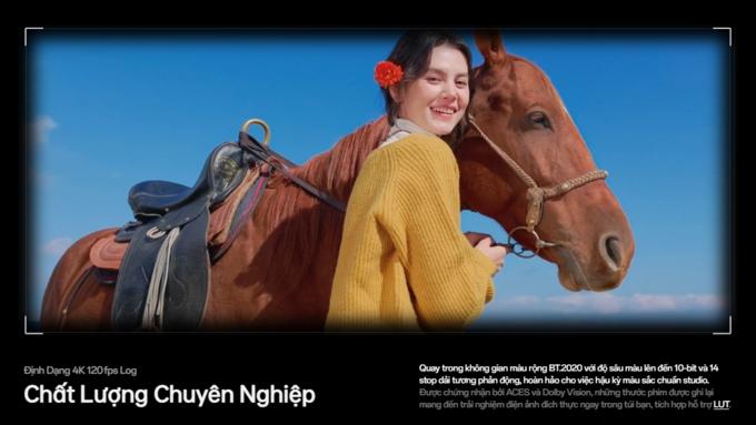 Chất lượng chuy&ecirc;n nghiệp