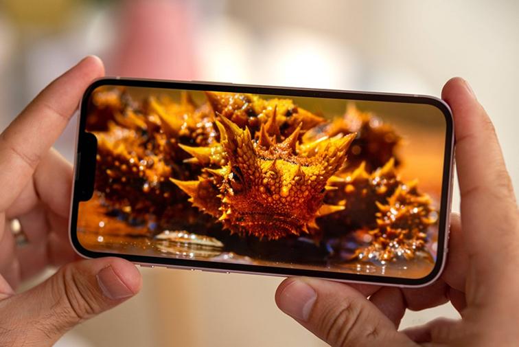 màn hình iphone 13 cũ